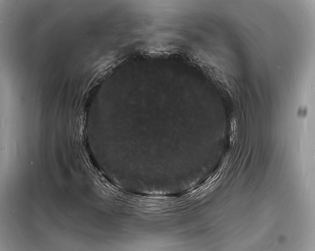 X0000098231300200804241331
