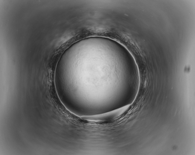 X0000098231301200804241331