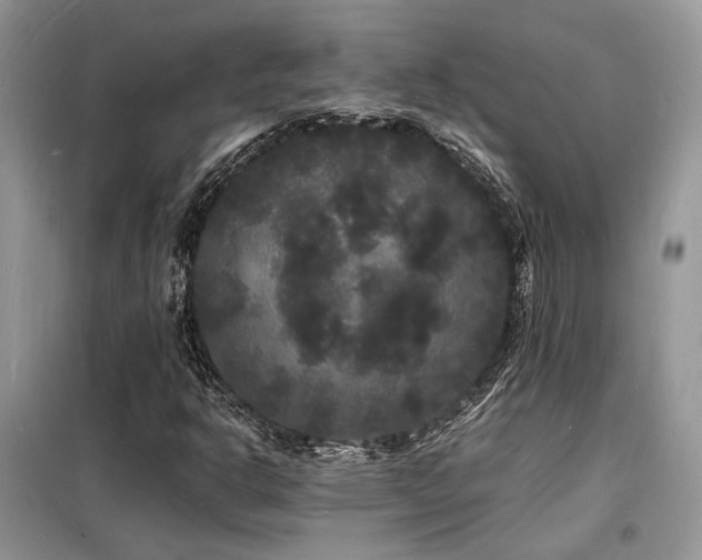 X0000098231302200804241331