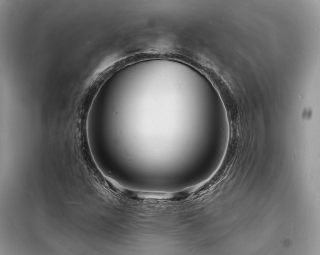 X0000098231304200804241331