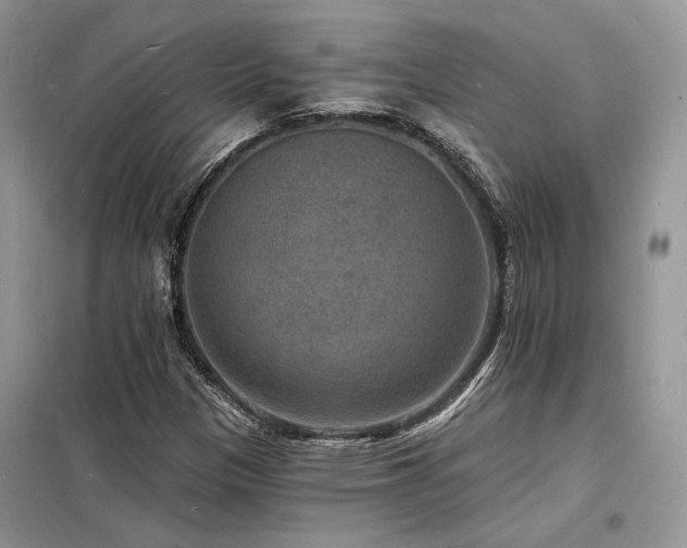 X0000098231305200804241331