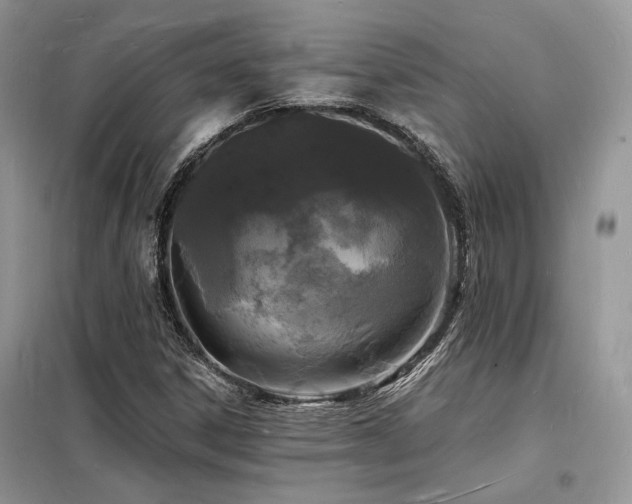 X0000098231306200804241331