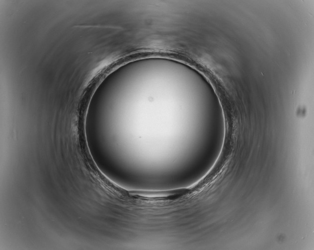 X0000098231307200804241331