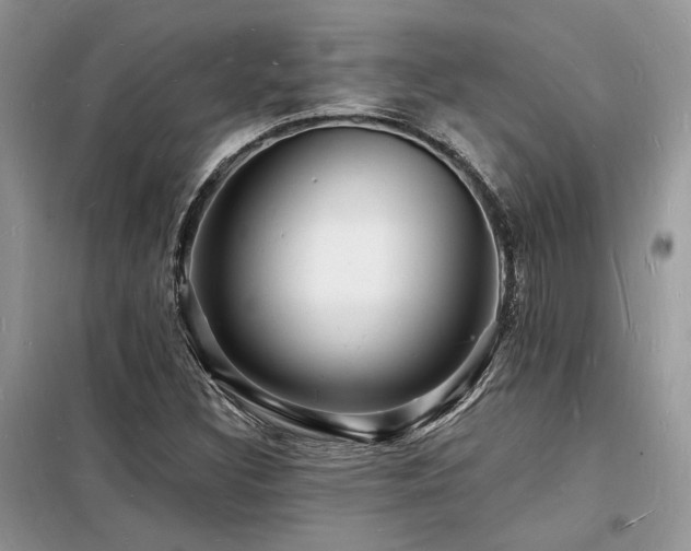 X0000098231308200804241331