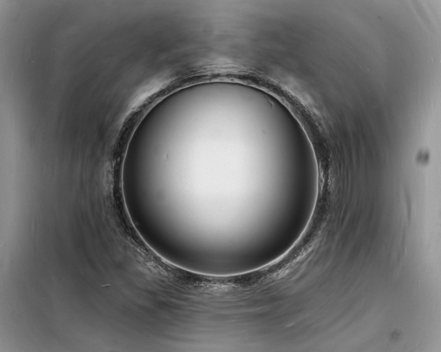 X0000098231309200804241331