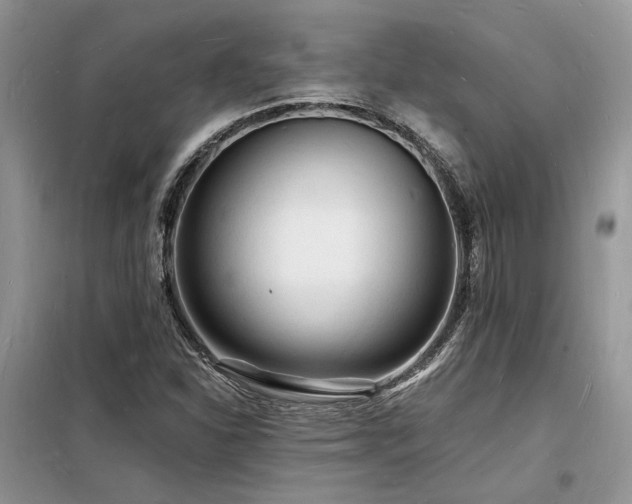 X0000098231310200804241331