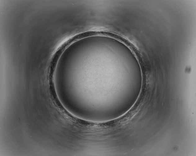 X0000098231311200804241331