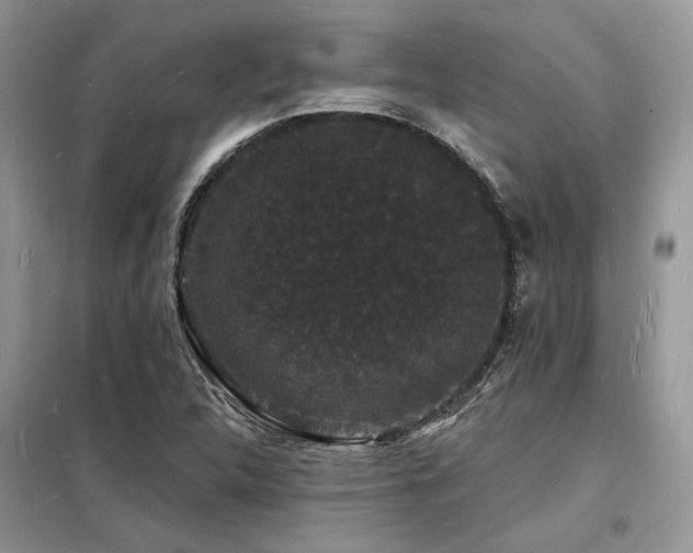 X0000098231312200804241331