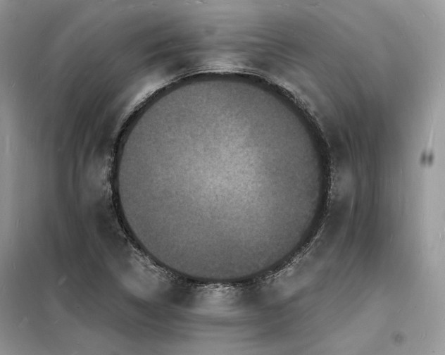 X0000098231314200804241331