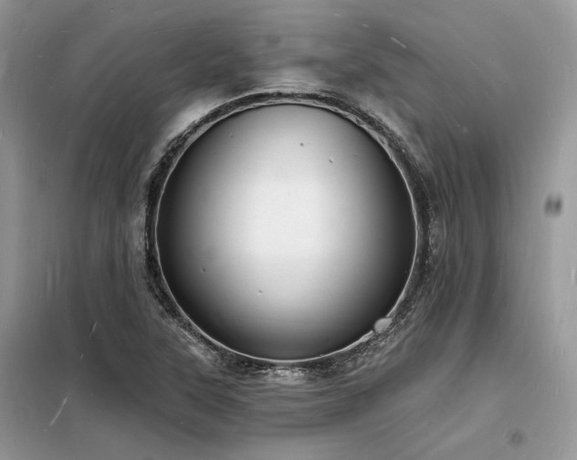 X0000098231315200804241331
