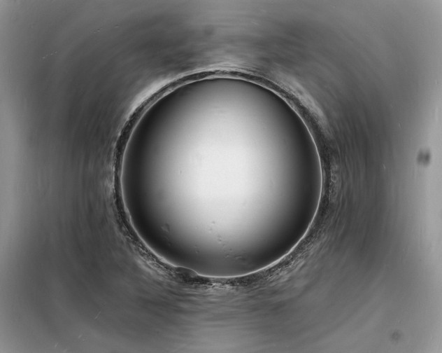X0000098231316200804241331
