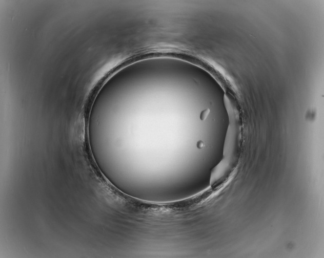 X0000098231317200804241331