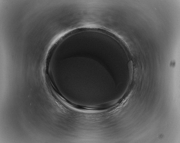 X0000098231319200804241331