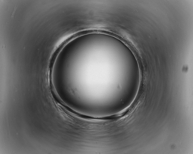 X0000098231320200804241331