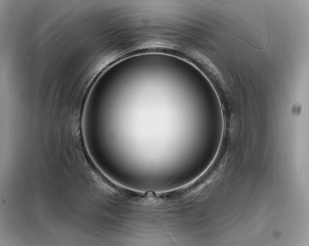 X0000098231321200804241332