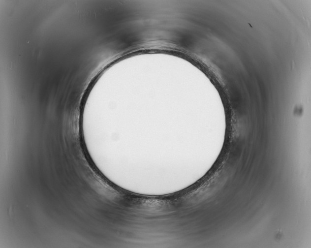 X0000098231322200804241332