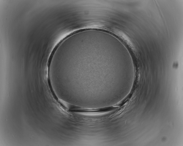 X0000098231324200804241332