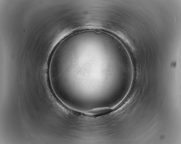 X0000098231325200804241332