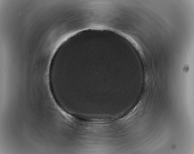 X0000098231327200804241332