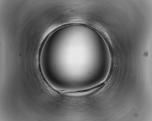X0000098231328200804241332