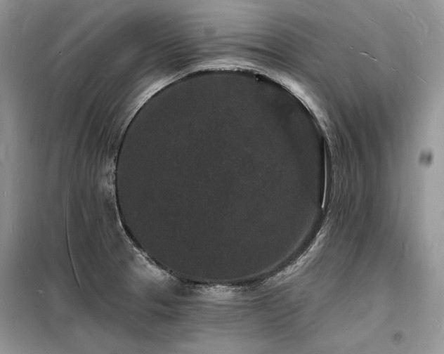 X0000098231329200804241332
