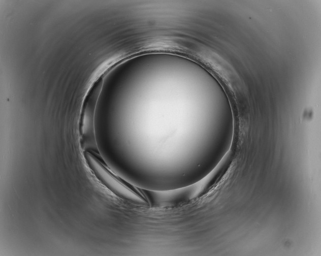 X0000098231330200804241332