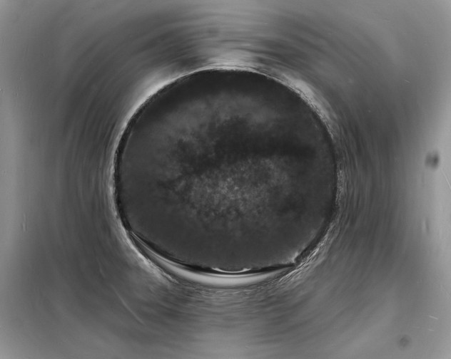 X0000098231331200804241332