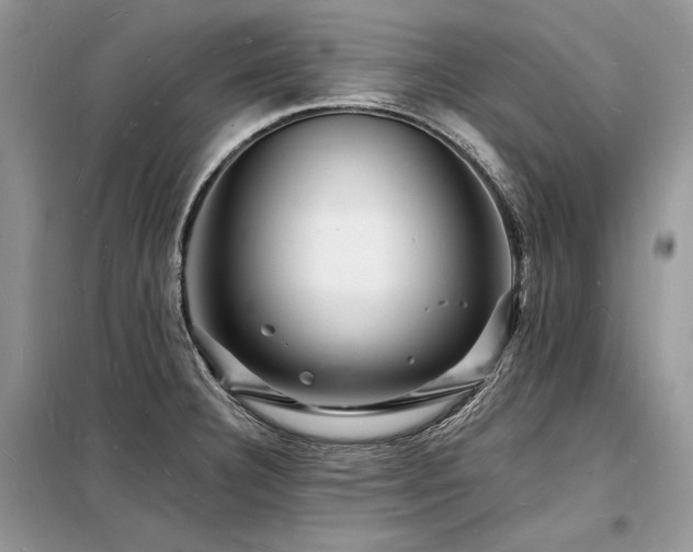 X0000098231332200804241332