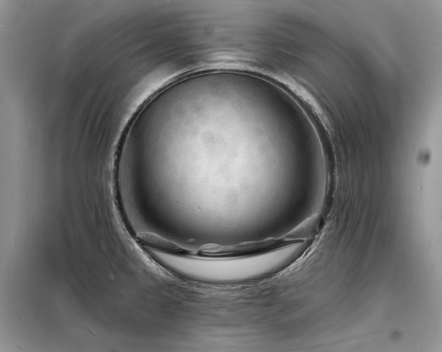 X0000098231333200804241332