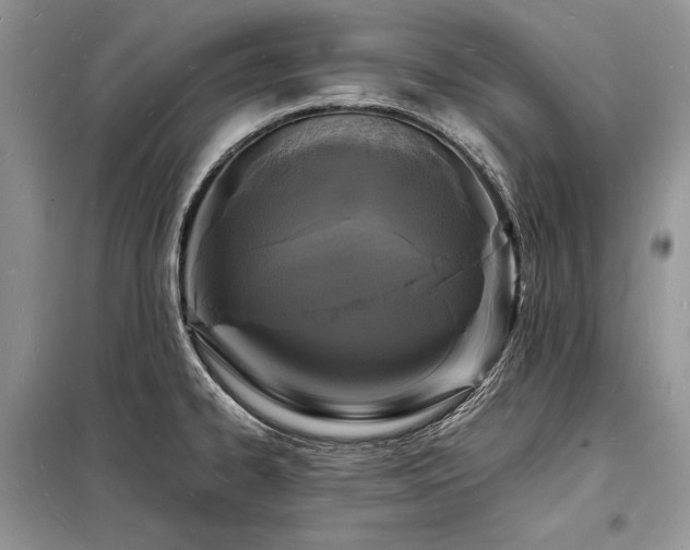 X0000098231334200804241332
