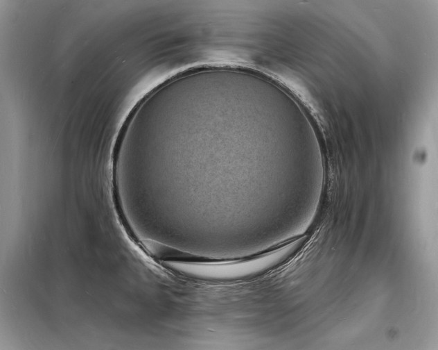 X0000098231335200804241332