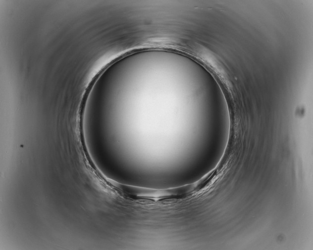 X0000098231336200804241332
