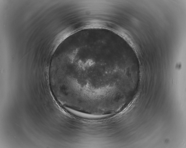 X0000098231337200804241332