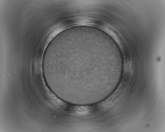 X0000098231338200804241332