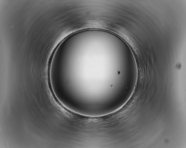 X0000098231339200804241332