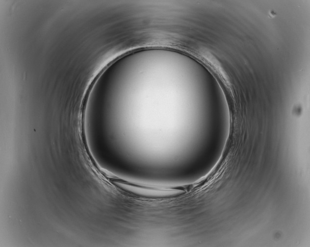 X0000098231340200804241332