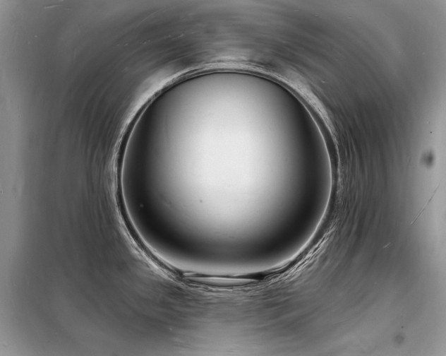 X0000098231341200804241332