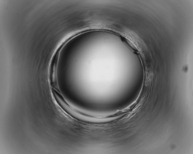 X0000098231342200804241332