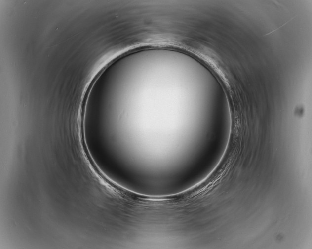 X0000098231343200804241332