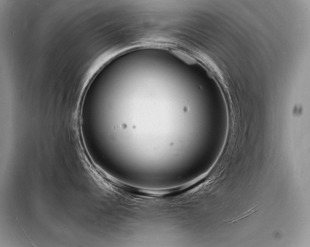 X0000098231344200804241332