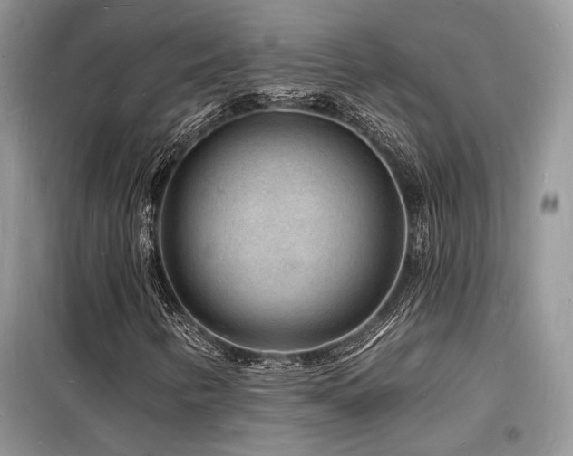 X0000098231346200804241331