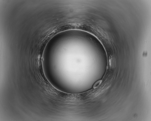 X0000098231347200804241331