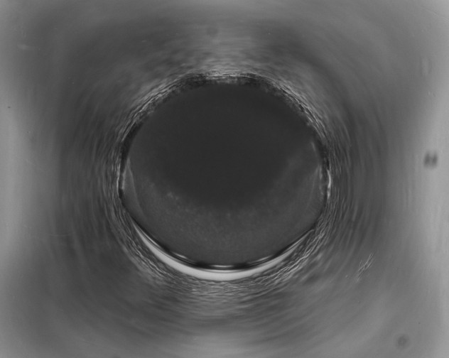X0000098231348200804241331