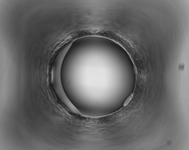 X0000098231349200804241331