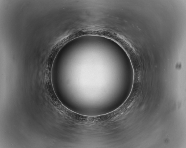 X0000098231350200804241331