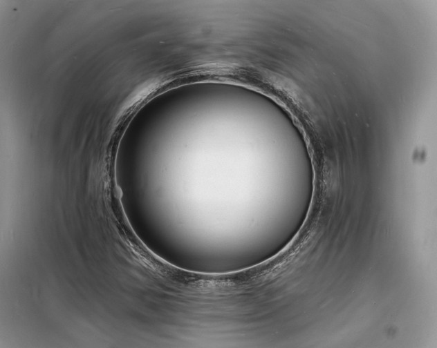 X0000098231354200804241331