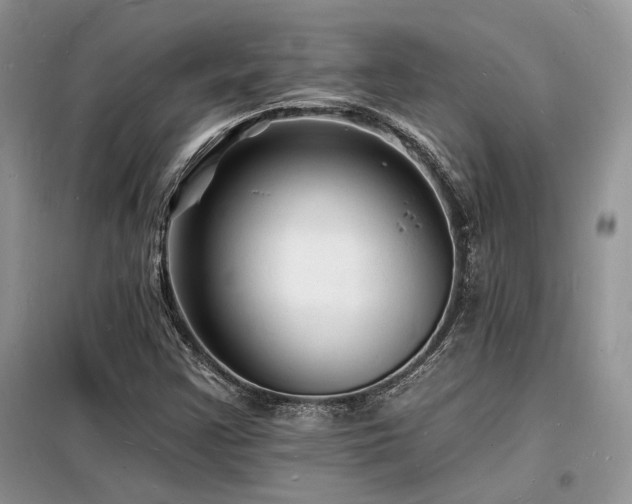 X0000098231355200804241331