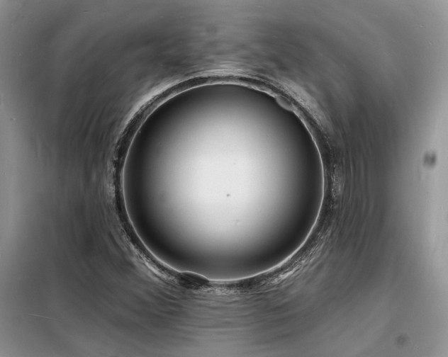 X0000098231356200804241331