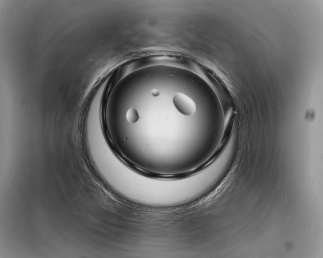 X0000098231357200804241331