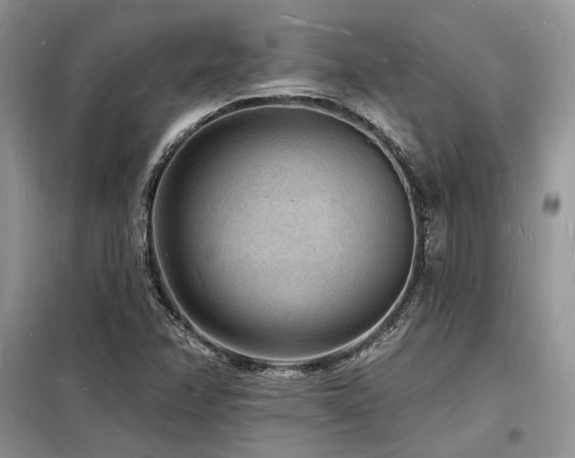 X0000098231358200804241331